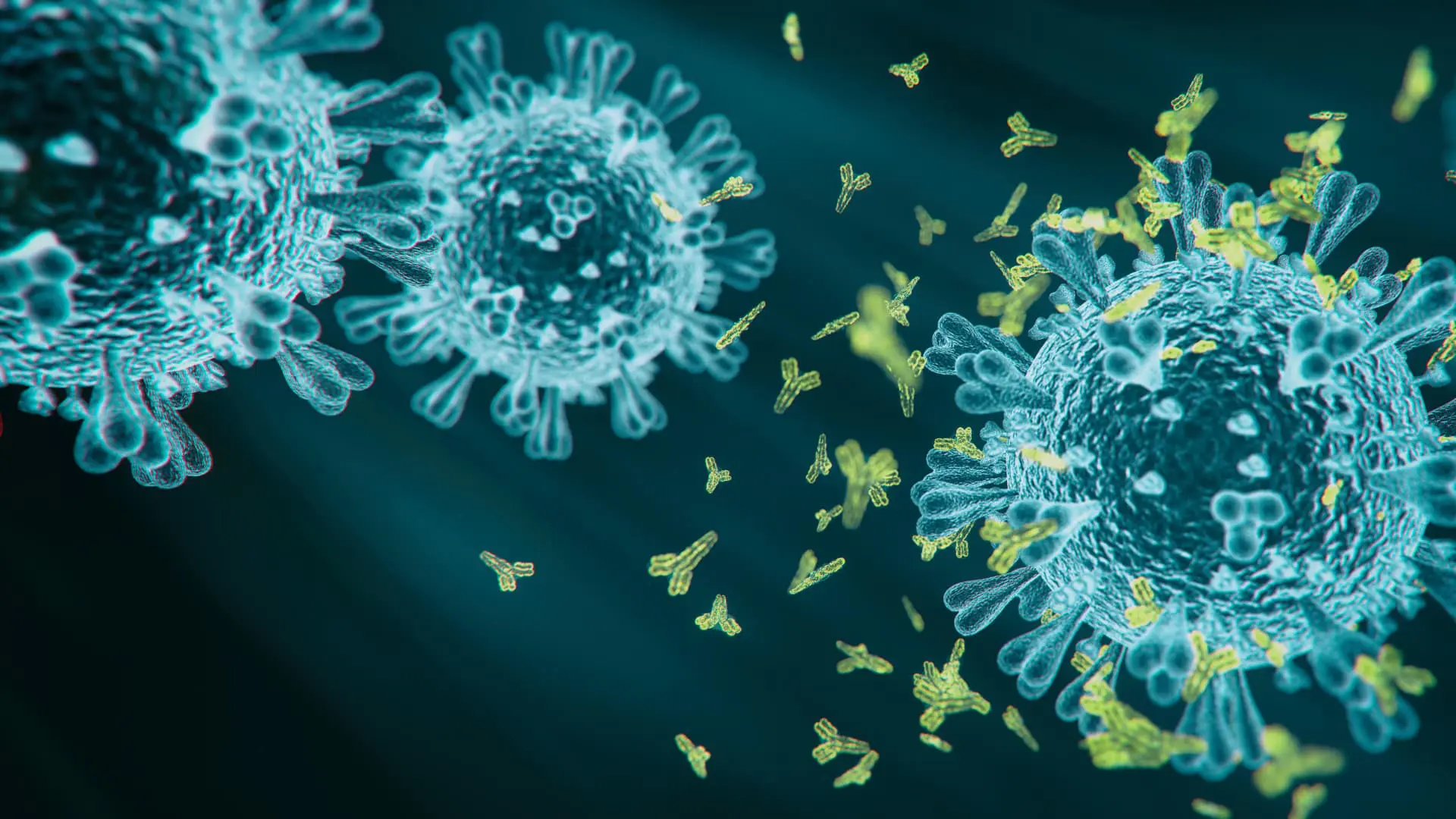 A detailed graphic showing the structure of the COVID-19 virus. The image features blue, spherical virus particles with spike proteins and floating yellow antibodies, representing the interaction between the virus and the immune response. The background is a dark teal, providing contrast to the virus and antibodies.