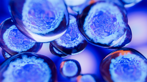 Creative image of embryonic stem cells, cellular therapy. 3d illustration